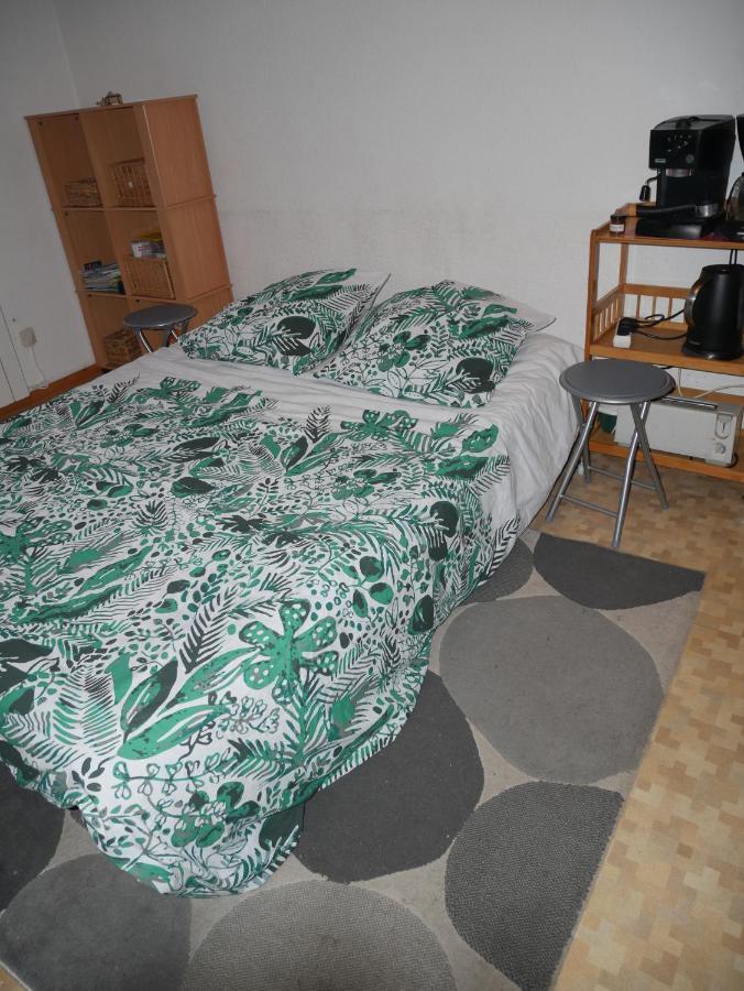 Cauterets: Studio 4 Personnes Idealement Situe. エクステリア 写真